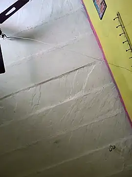 cutee_bhabhi12 在線直播表演