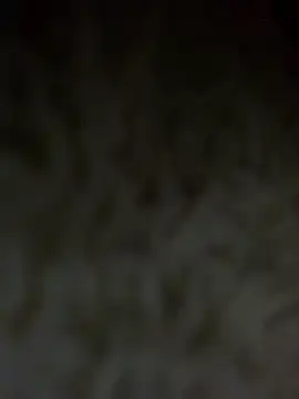 Chat +18 de Nul-chal ao vivo