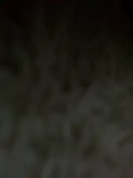 Nul-chal 网络视讯表演