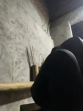 phungtiti 现场XXX聊天