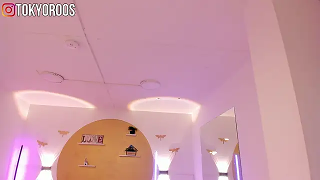 TokyoHaskel's Webcam Show