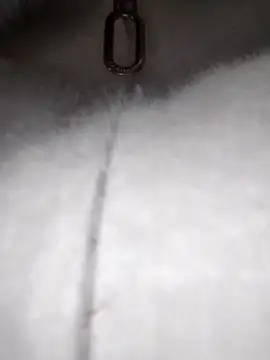 MINSSA502's Webcam Show