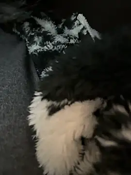 daaqnn's Webcam Show