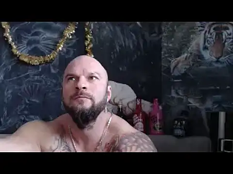 viking_30 Show in webcam