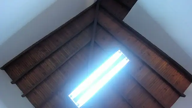 Megan_foro 现场XXX聊天