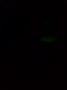 cdyyds-69's Live XXX Chat