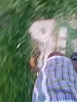 dolphiinn 现场XXX聊天