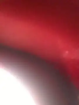 ZIPORA07 라이브 XXX 채팅