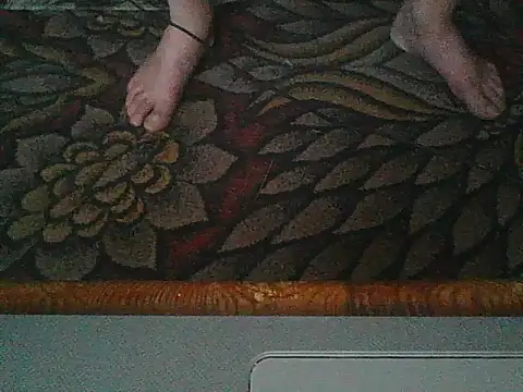 Vajs87's Webcam Show