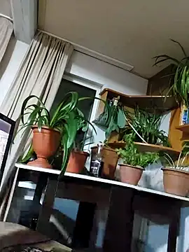 IrmaRose – Live XXX-chat