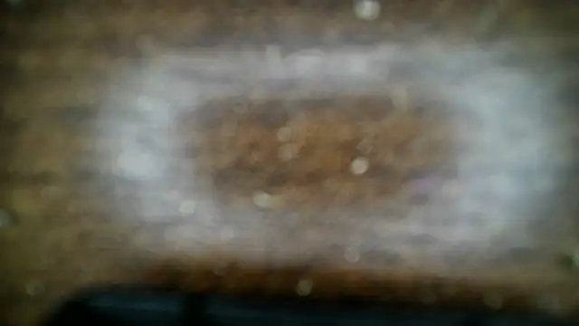 Chat XXX en directo de 8point5guy