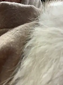 KristiRich – Live XXX-chat