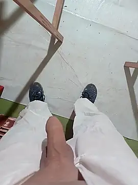 GeilerSchweizer Webcam-Show