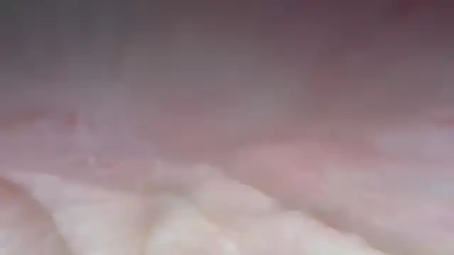 s-te-fan-i Webcam-Show