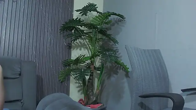 denise_babe_ Chat XXX live