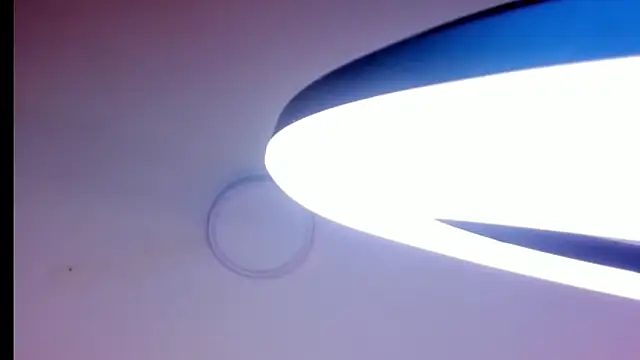 Lizeth_Salazar – Naživo XXX chat