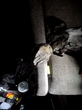 Fuckboyguyman's Live XXX Chat