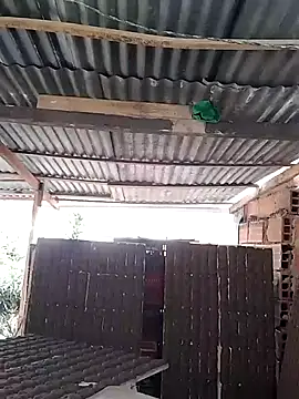 hoteder's Webcam Show