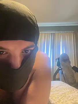 mouse- 라이브 XXX 채팅