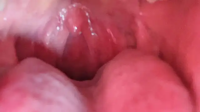 LT-333 在線直播表演