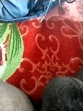 jellydicks' Live XXX Chat