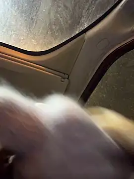 XXX chat uživo modela Weettyy