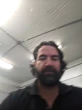 MysterBearMG live XXX chat