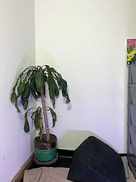 your_little_girl7 Chat XXX live