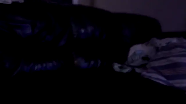 TheHellBilly – Live XXX-chat