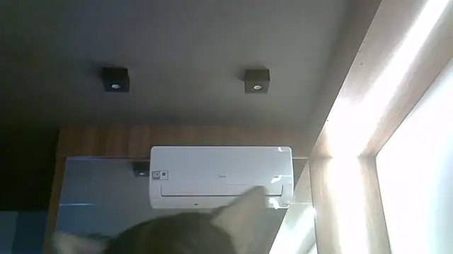 Chat XXX ao vivo de SkinnyKitten