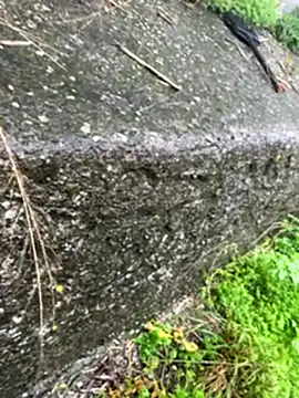 Babypinypon's Live XXX Chat