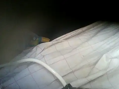 ElAMORdevida – webcam-show