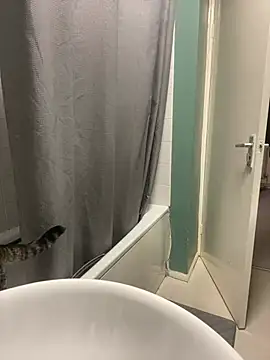 MattMiller28's Live XXX Chat