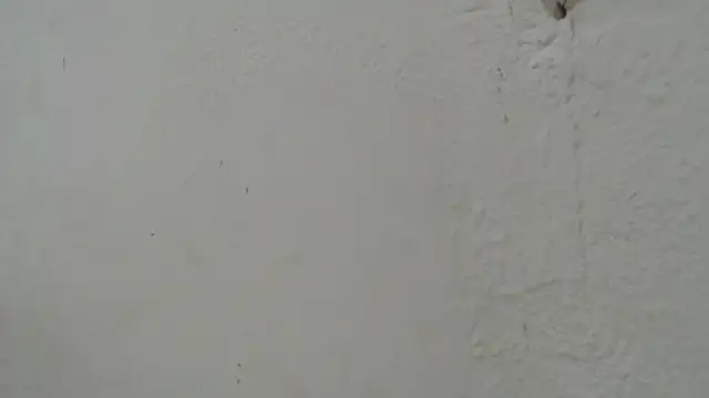 samanta_lopez Pertunjukan Webcam