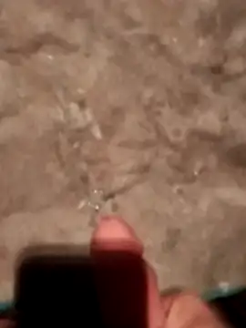 Show Webcam de legaros