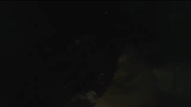 hebe-02 现场XXX聊天