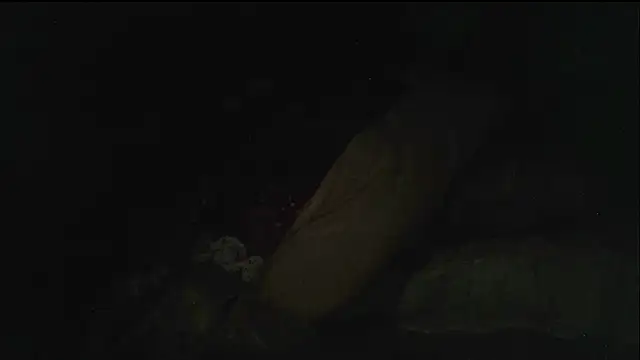 hebe-02 现场XXX聊天