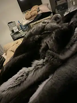 Furdale – Live XXX-chat