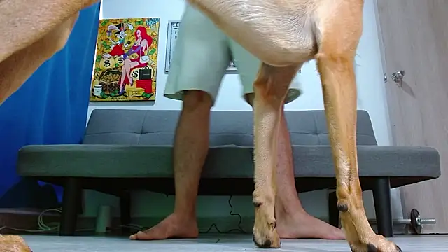 boss_of_cash 现场XXX聊天