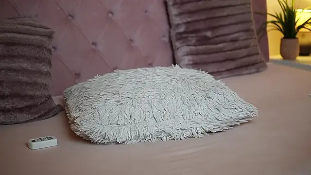 MaiaMini Show in webcam