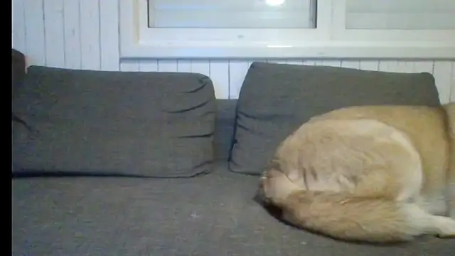 jermi26 – Kamerová šou