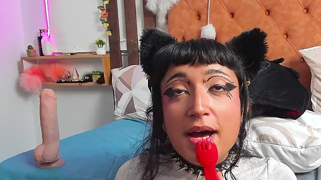 MeowMota_: απευθείας συνομιλία ΧΧΧ