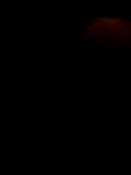 Czat XXX na żywo – kenzzzz