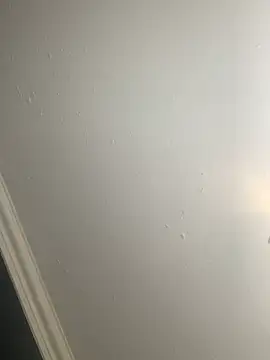 Creamy_bitchxxx: απευθείας συνομιλία ΧΧΧ