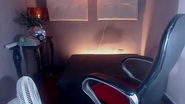 Webkamerová show vision_jh