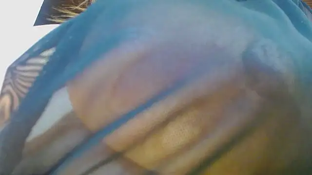 wandarubio Chat XXX in diretta