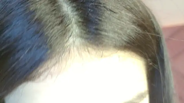 eva_sin18 Live XXX-Chat