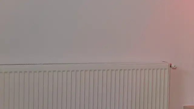 AmberBloomX Live XXX-Chat