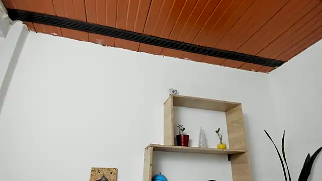 Sembang XXX Secara Langsung LinaBrowm