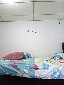 dubratrans Webcam-Show